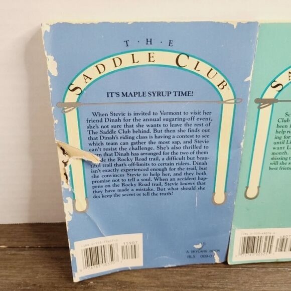 Vintage 90s The Saddle Club BY Bonnie Bryant #29 #20 Book Bundle - Picture 11 of 12
